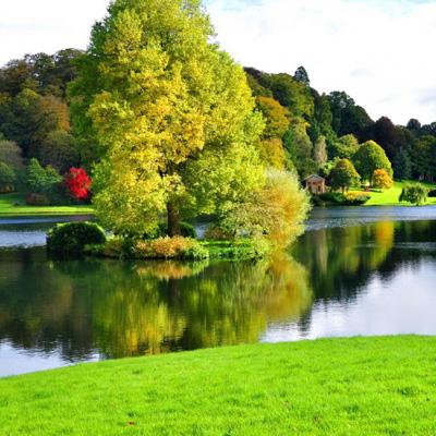 722cc大发彩神手机app下载