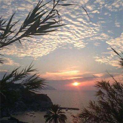 皇冠app下载官方版