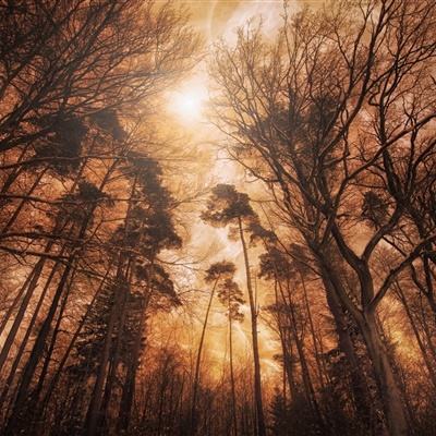 云顶集团app下载