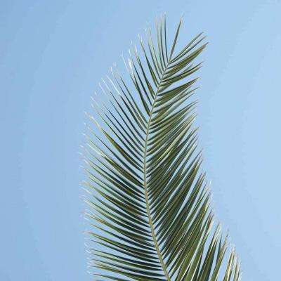 bat365在线平台官方网站