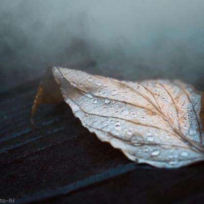 美高梅mgm1888网站