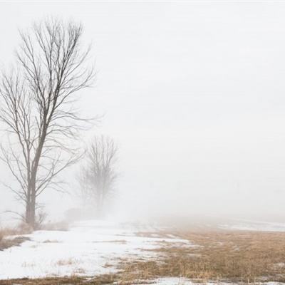 皇冠welcome下载app下载