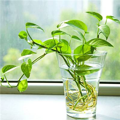 博鱼·体育app(中国)官网入口-手机版app下载