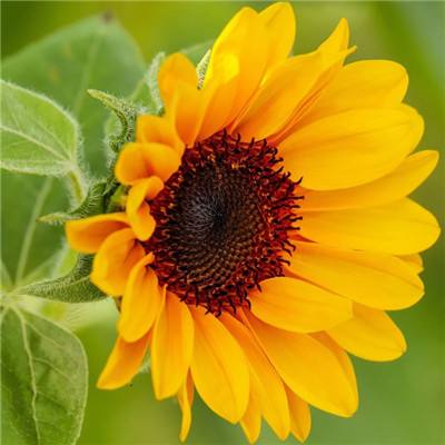 开元游戏大厅网站