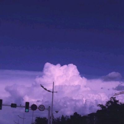 BOB最新版本下载